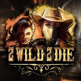 Play the 2 Wild 2 Die slot by Hacksaw Gaming on Sankra Casino