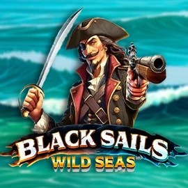 Slots logo of Black Sails Wild Seas from Infinity Dragon Studios at Sankra Casino