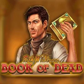 Book of Dead slot visual from Play'n GO available on sankran.org